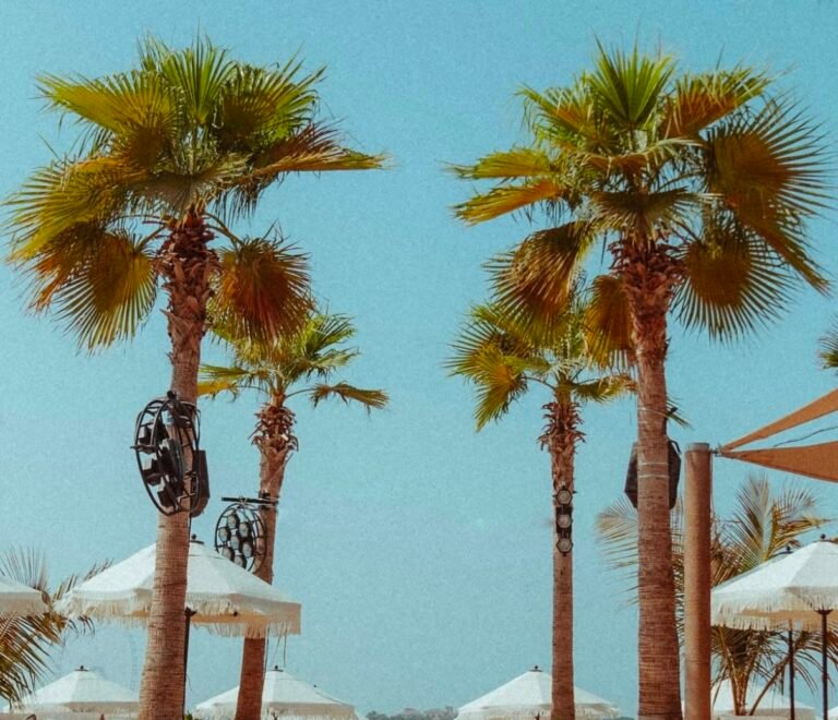 surf club dubai beach2