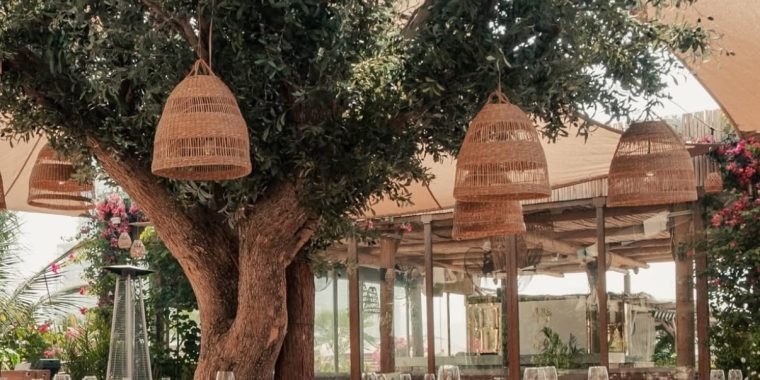 surf club dubai restaurant